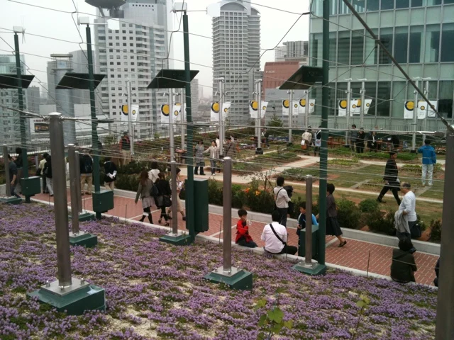 20110504-121735.jpg