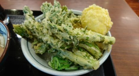 なんで今までやらんかったんや…。丸亀製麺のなばな天でつくった丼がめっちゃ美味しかった!