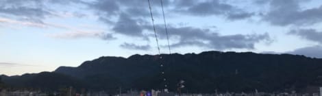 金谷