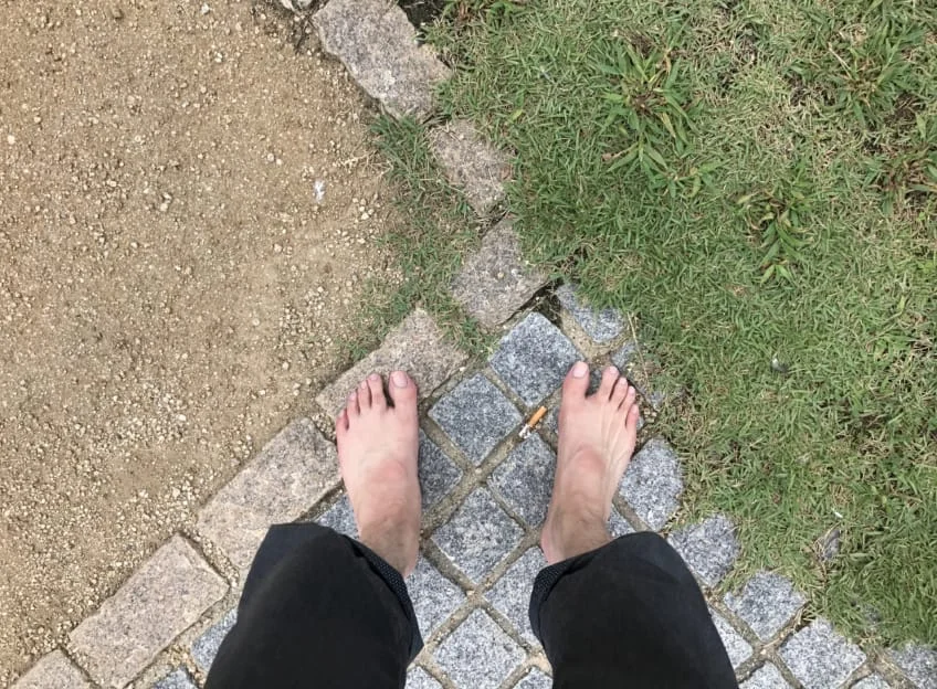 土、石畳、芝生