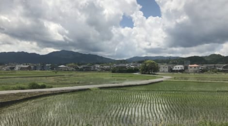 2017年5月のまとめ