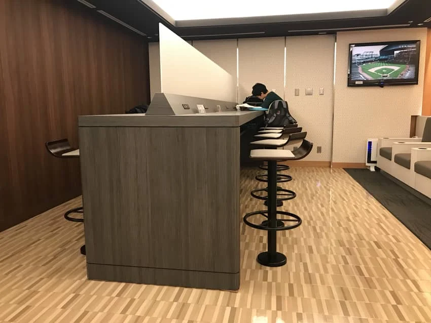 IASS Executive Lounge 1 3